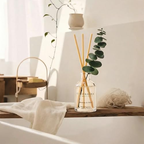 COCORRÍNA Reed Diffuser Set of 3 with Dried Eucalyptus for Home & Office