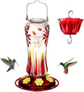 Kingsyard Glass Hummingbird Feeders for Outdoors Hanging