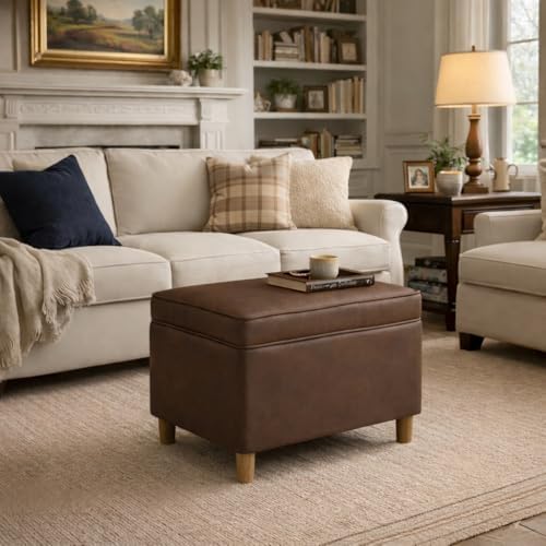 Spatial Order 24" Dinah Collection Storage Ottoman - Brown Faux Leather