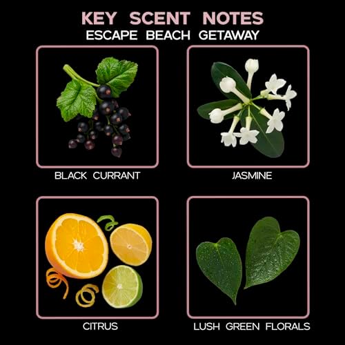 Reed Diffuser Set, Escape Beach Getaway Scented Oil Diffuser with Sticks, Home Fragrance Accessories for Bathroom Shelf Decor, Aroma Diffusers for Home or Office Desk, USA Made