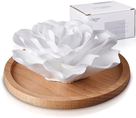 Passive Essential Oil Diffuser,Aromatherapy Passive Mini Ceramic Essential Oil Small Diffuser for Desk Office Home Gift (Roses)