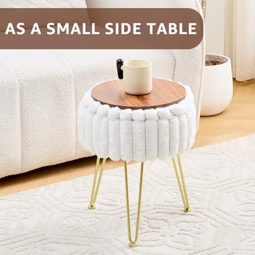 Wimarsbon Vanity Stool with Storage, Faux Fur Ottoman Chair with Metal Legs