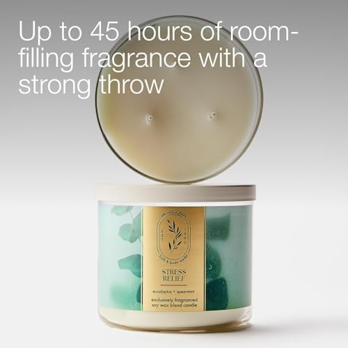 Bath & Body Works 3-Wick Candle, Eucalyptus Spearmint, 2 Pack