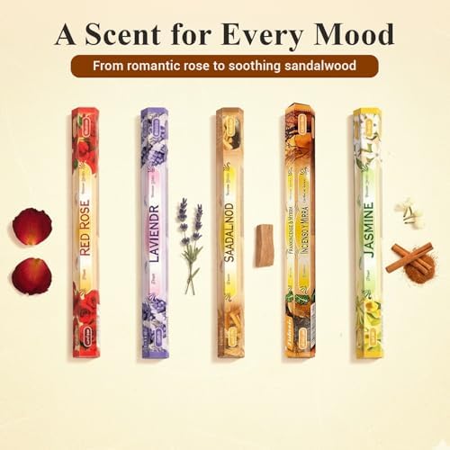 Tulasi Incense Sticks Pack of 12 Natural Scent (240 Sticks) Variety Fragrance of Coconut, White Sage, Red Rose, Palo Santo Lavender & Cinnamon etc, Ideal for Meditation & Positive Vibes