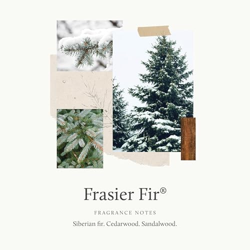 Thymes Frasier Fir Reed Diffuser Set – Includes Reeds, Fragrance Oil, and Frosted Glass Bottle – Fragrance Oil Diffuser – Room Fresheners – Luxury Home Decor – Gold (Gilded, 4 fl oz)