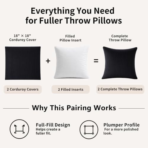 2 Pack 18 x 18 Decorative Throw Pillows with Insert Included