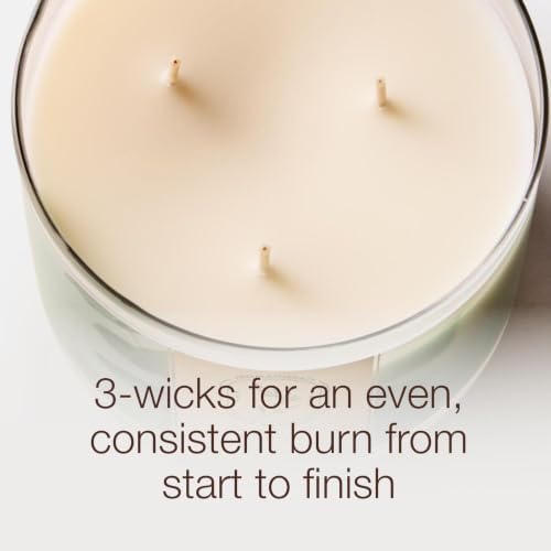 Bath & Body Works 3-Wick Candle, The Perfect Christmas Scent, 2 Pack