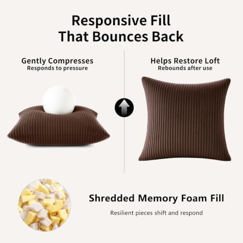 2 Pack 18 x 18 Decorative Throw Pillows with Insert Included