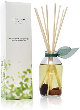 Reed Diffuser Set - Cinnamon Pine Cones Scented Diffuser with Sticks