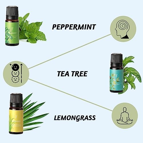 Folkulture Pure Essential Oil | Set of 6 Essential Oils for Diffuser for Home | Oil Diffuser Essential Oil | Summer Essential Oils for Candle Making - Lavender, Eucalyptus