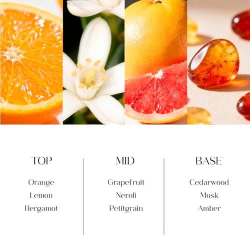 Clesh Reed Diffuser Set, 6.7 oz Citrus Scented Diffuser with Sticks, Home Fragrance Reed Diffuser for Bathroom Shelf Decor
