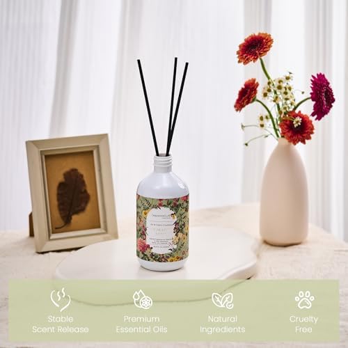 M&SENSE Reed Diffuser Set, Eucalyptus & Mint, 17oz Natural Essential Oil