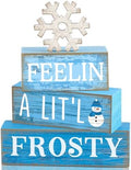 Yuntau 4 Pcs Winter Tiered Tray Decor Christmas Snowflake Wooden Block Sign