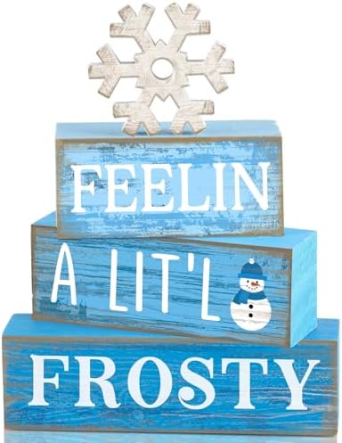 Yuntau 4 Pcs Winter Tiered Tray Decor Christmas Snowflake Wooden Block Sign