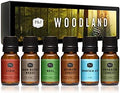 P&J Trading - Woodland Set of Scented Oils - Cedar, Warm Rustic Woods, Moss, Redwood Forest, Mountain Air, Evergreen Forest Fragrance Oils for Candle Making, Soap Making, Diffuser Oils