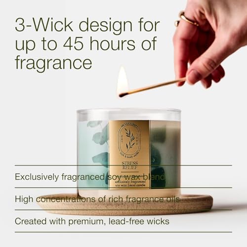 Bath & Body Works 3-Wick Candle, Eucalyptus Spearmint, 2 Pack