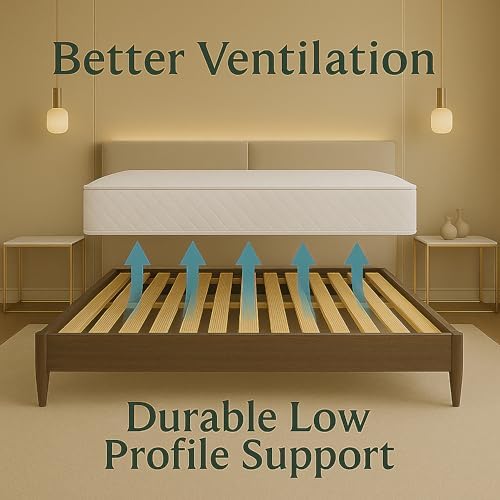 Treaton, 0.68-Inch Vertical Wooden Bunkie Board/Bed Slats, Queen, Beige