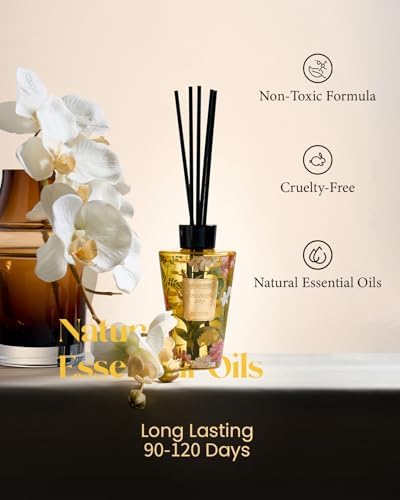 M&SENSE Reed Diffuser Set, Orange Goji, 8.79 oz Natural Essential Oil