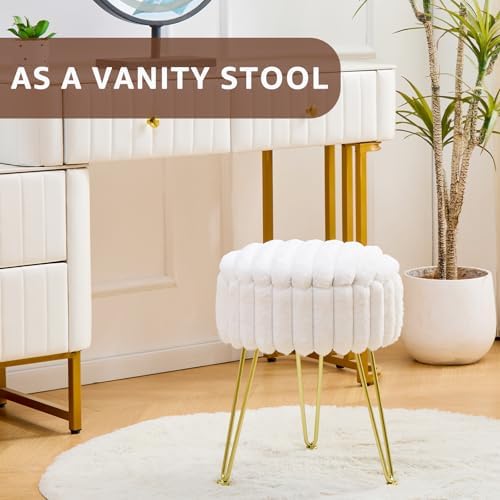 Wimarsbon Vanity Stool with Storage, Faux Fur Ottoman Chair with Metal Legs