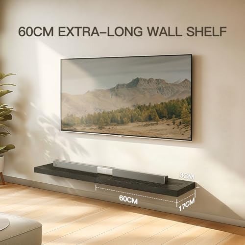 Amada 24 Inch Floating Shelves with Invisible Brackets, Set of 2, Black