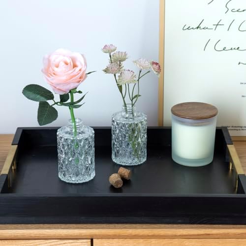 MyGift Clear Glass Reed Diffuser Bottles Vintage Apothecary Vases Set of 2