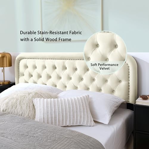 Tufted Upholstered Twin Size Headboard only - Button Solid Wood HeadBoards with Adjustable Height - Modern Velvet Padded Bed Headboard - Easy Assembly - Nailhead,Beige