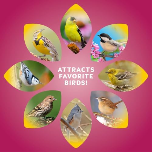 Audubon Park Sunflower Hearts Wild Bird Seed, 10 lb.