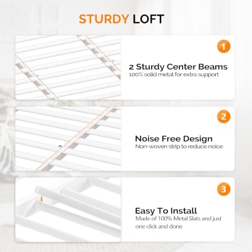 VINGLI Queen Loft Bed with Flat Rungs for Adults, Kids and Young Teens, No Box Spring Required,Heavy Duty Metal Slat Support, White