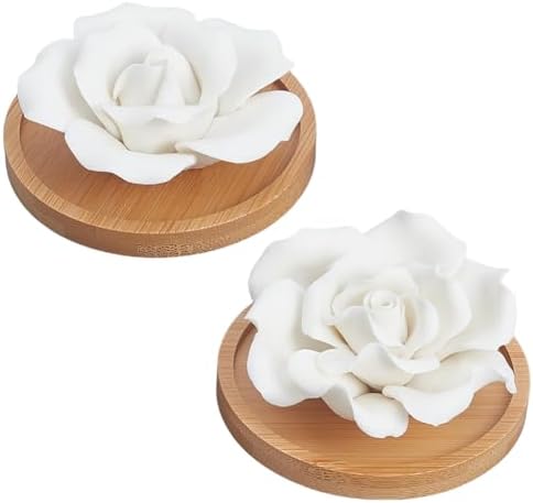 INFUNLY 2 Pcs Rose Essential Oil Diffuser Stone Plaster Scent Diffuser with Round Base 2 Style Roses Diffuser Stone Kit 3.7x3.7 Insertable Reed Rose Aromatherapy Stone for Desk Office Home Gift