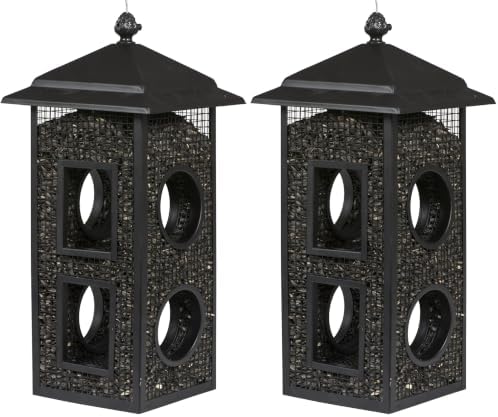 Perky-Pet Fly-Thru Wild Bird Feeder, 2 lb Seed Capacity (Pack of 2)