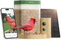 Birdfy Smart Bird Feeder with Camera for Beginners, Solar Powered Rookie