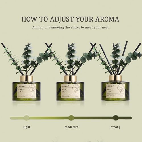 Airkeep Reed Diffuser Set with 6.76 fl oz Citrus&Sage Scent Essential Oils and 3 Leaves & 8 Diffuser Sticks,Bathroom Shelf Decor & Air Freshener, House Bedroom Office Decor & Gifts