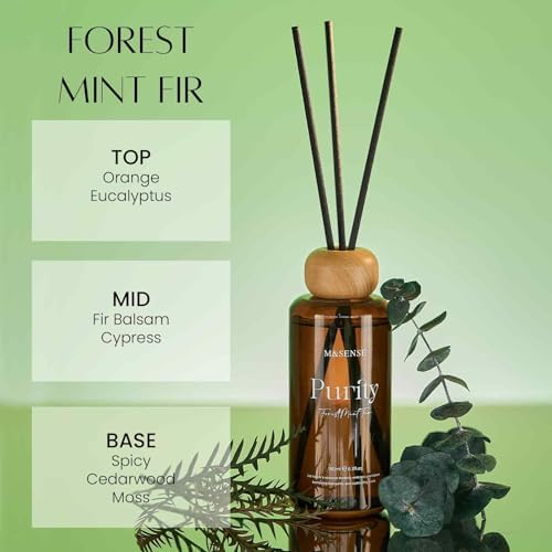 M&SENSE Reed Diffuser Set, Forest Mint Fir, 6.3 oz Natural Essential Oil