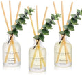 COCORRÍNA Reed Diffuser Set of 3 with Dried Eucalyptus for Home & Office