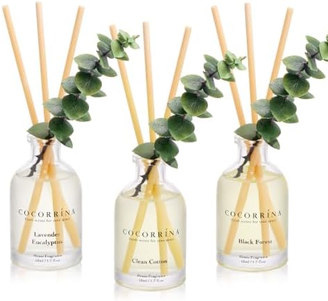 COCORRÍNA Reed Diffuser Set of 3 with Dried Eucalyptus for Home & Office