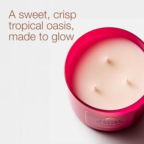 Bath & Body Works 3-Wick Candle, Cactus Blossom, Soy Wax Blend