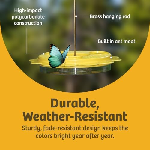 Birds Choice Flutterby Butterfly Feeder with Brass Hanging Rod