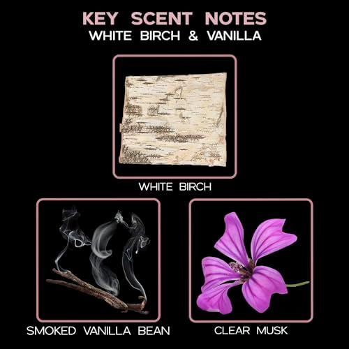 Reed Diffuser Set, White Birch & Vanilla Scented Oil Diffuser with Sticks, Home Fragrance Accessories for Bathroom Shelf Decor, Aroma Diffusers for Home or Office Fall Decor, USA Made