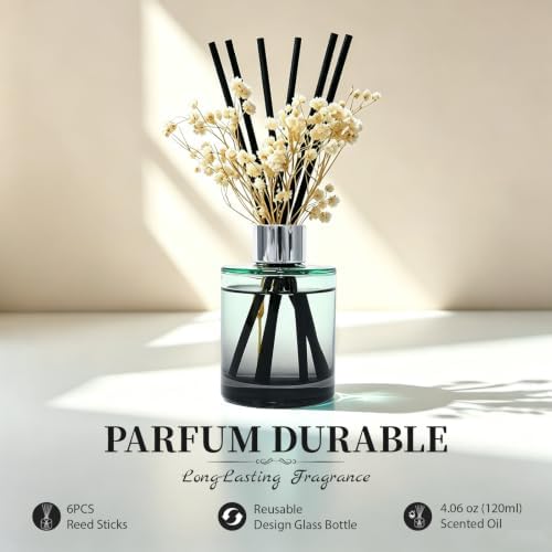 Brakula Reed Diffuser Set, Eucalyptus & Wild Mint Scent, 4.06 fl oz