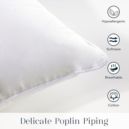 Phantoscope Throw Pillow Insert with 100% Cotton Cover, 24x24 Inch, 1 Pack