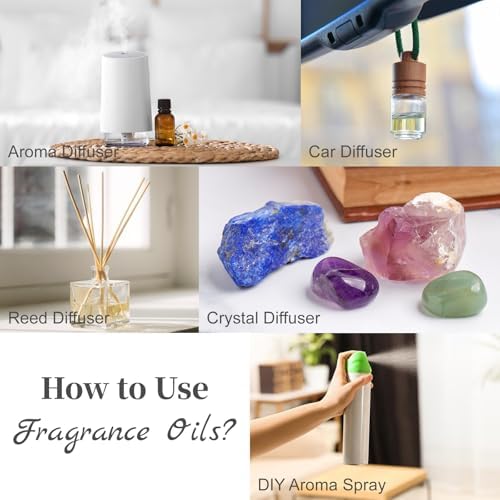 MAYJAM Harvest Spice Fragrance Oil for Diffusers for Home, 3.38FL.OZ