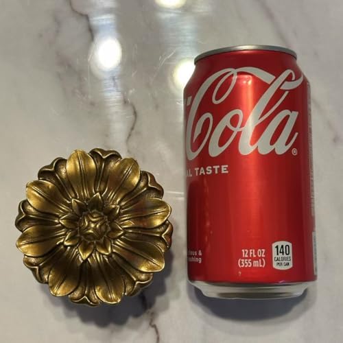 LOPGT Set of 2 Vintage Curtain Holdbacks Wall Mounted with Screws, Gold