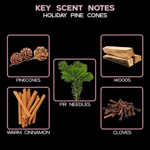 Reed Diffuser Set, Holiday Pine Cones Scented Oil Diffuser with Sticks, Home Fragrance Accessories for Bathroom Shelf Decor, Aroma Diffusers for Home or Office Desk, USA Made