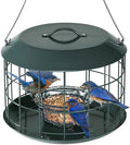 Kingsyard Bluebird Feeders for Outdoors Hanging