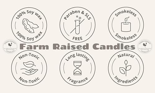 Lemon Sugar Wax Melts 2 Pack, Limoncello-Inspired Lemon Scented Soy Wax Cubes for Warmers