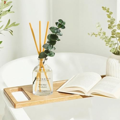 COCORRÍNA Reed Diffuser Set of 3 with Dried Eucalyptus for Home & Office