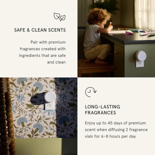 Pura Home Fragrance Device Starter Set - Pura 4 - Scent Diffuser for Home - Includes Fragrance Aroma Diffuser - Square Box, Winter Noir and Cranberry Fizz Scent Refills