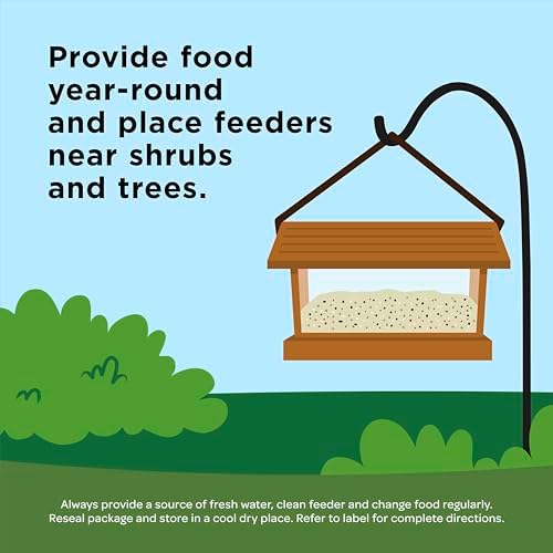 Kaytee Ultimate Nut and Fruit, Wild Bird Seed, 9.75 Pounds