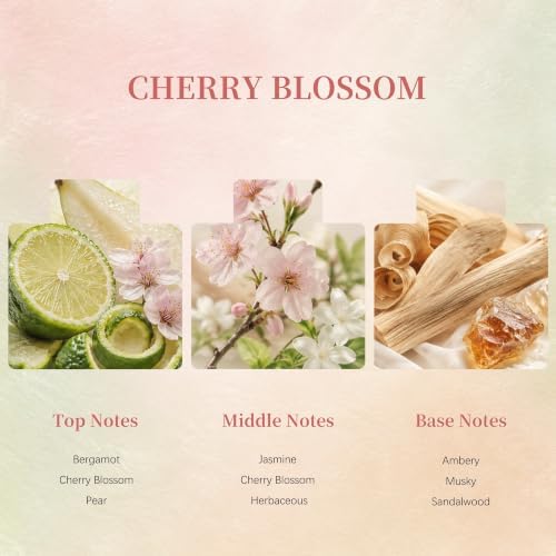 Airkeep Flower Reed Diffuser Set, Cherry Blossom Diffuser Set, 5.07 Fl.oz (150ml), Home Fragrance, Bathroom, Bedroom & Home Décor, Air Freshener