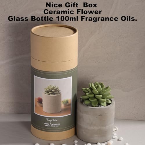 Reed Diffuser Set, Pretty Valley Home Succulent Gypsum Ceramic Fragrance Diffuser Vase Set - 3.38 fl oz (100 ml), Home Fragrance Reed Diffuser (Frozen PEAR S)